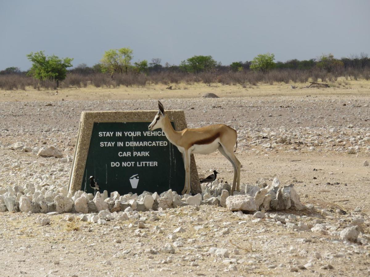 Etosha Safari Campsite Exterior photo